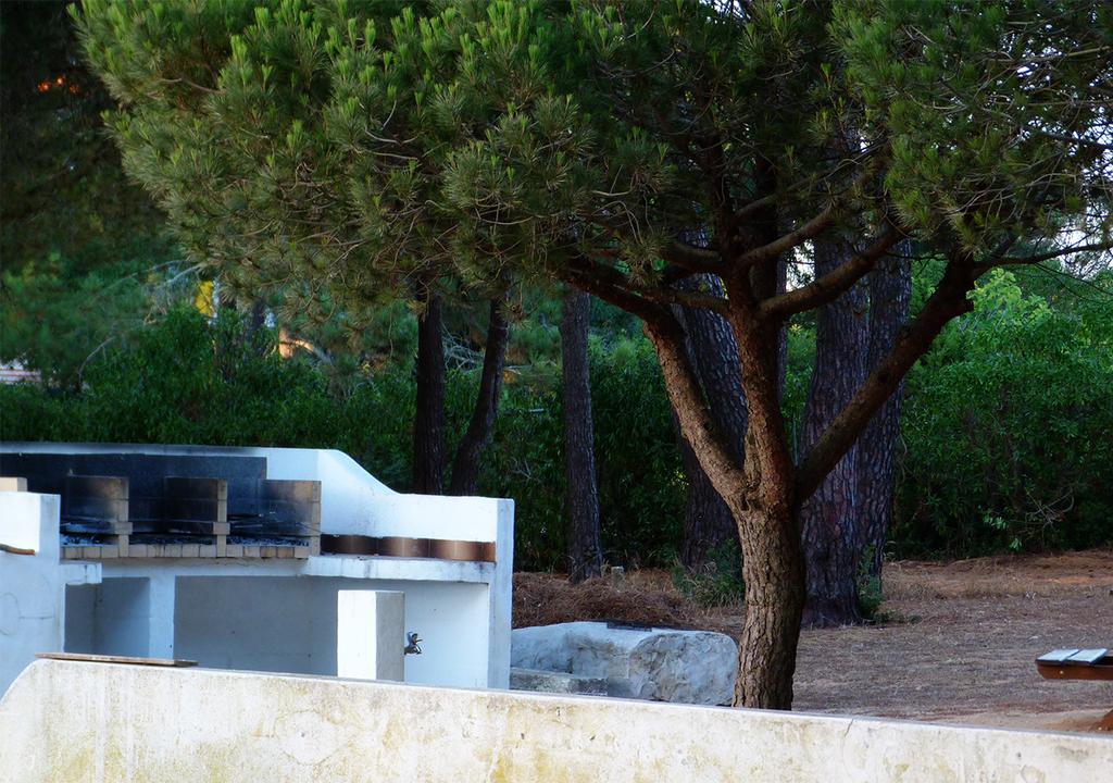 Parque De Campismo Orbitur Sagres Hotel ภายนอก รูปภาพ