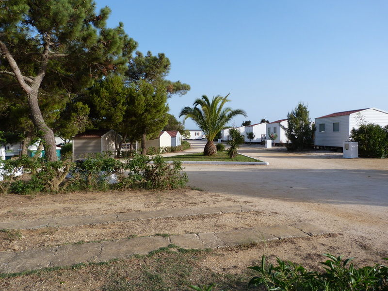 Parque De Campismo Orbitur Sagres Hotel ภายนอก รูปภาพ